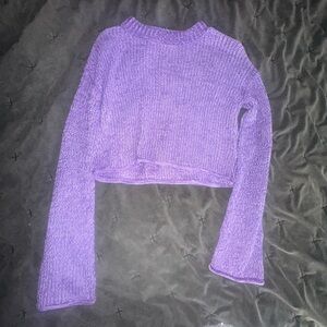 Wild fable cropped sweater